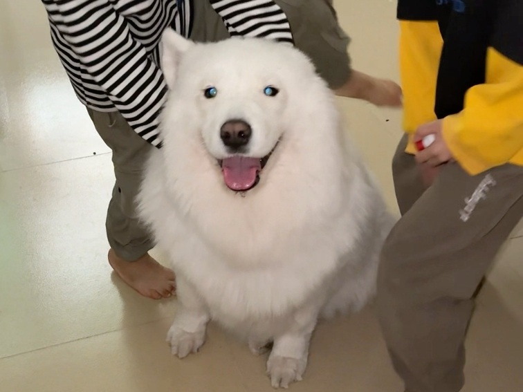 狗：现在的小孩都没作业的吗？-龙离谱-龙离谱-哔哩哔哩视频