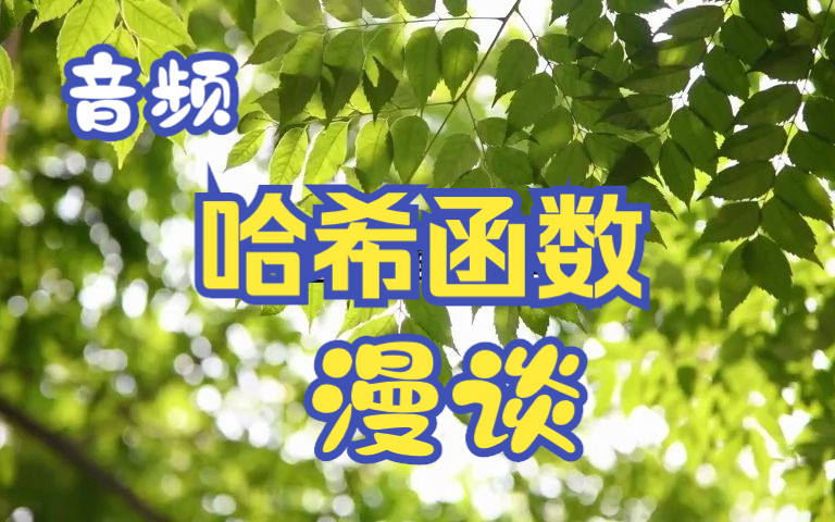 无可抵赖的打赌哈希函数漫谈(音频)哔哩哔哩bilibili