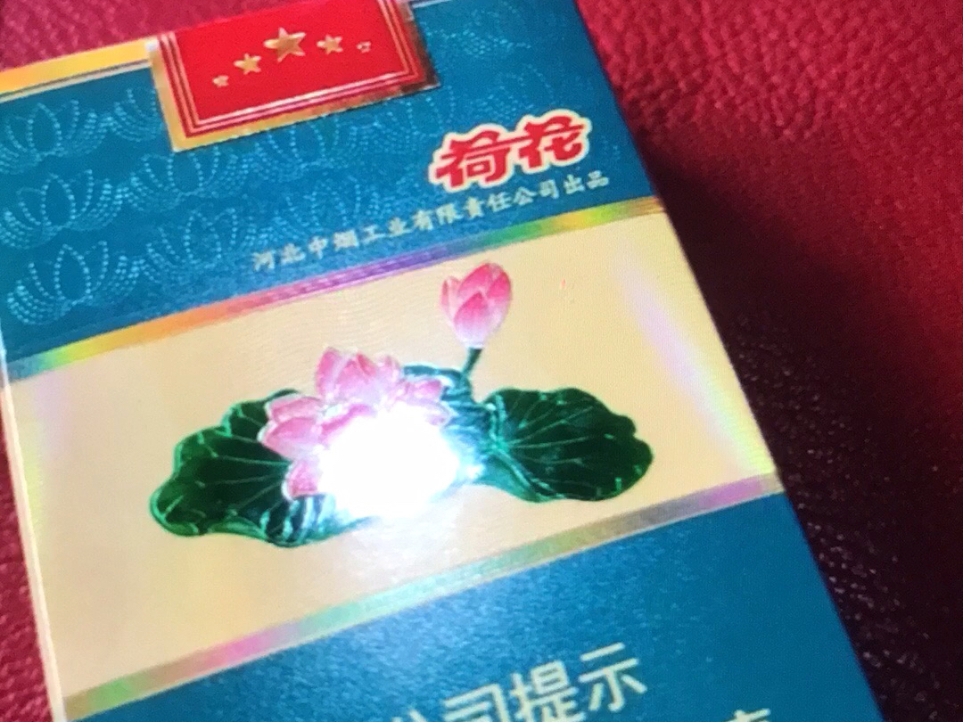 软荷花有喜欢的吗?