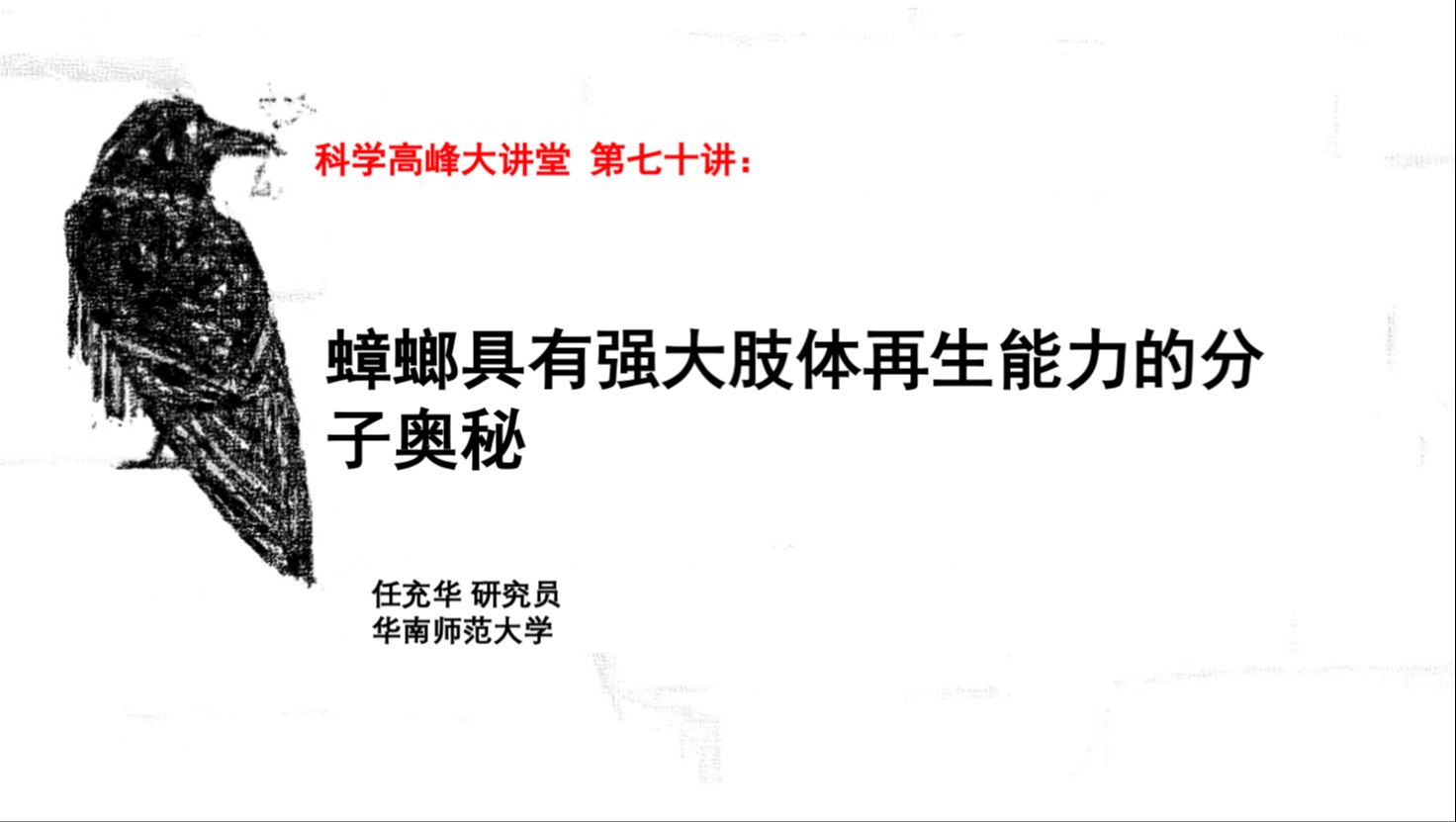 科学高峰大讲堂 第七十讲:蟑螂具有强大肢体再生能力的分子奥秘哔哩哔哩bilibili