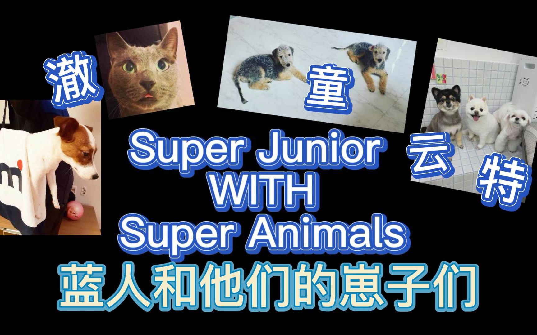 [图]【Super Junior】蓝人和他们的崽子们