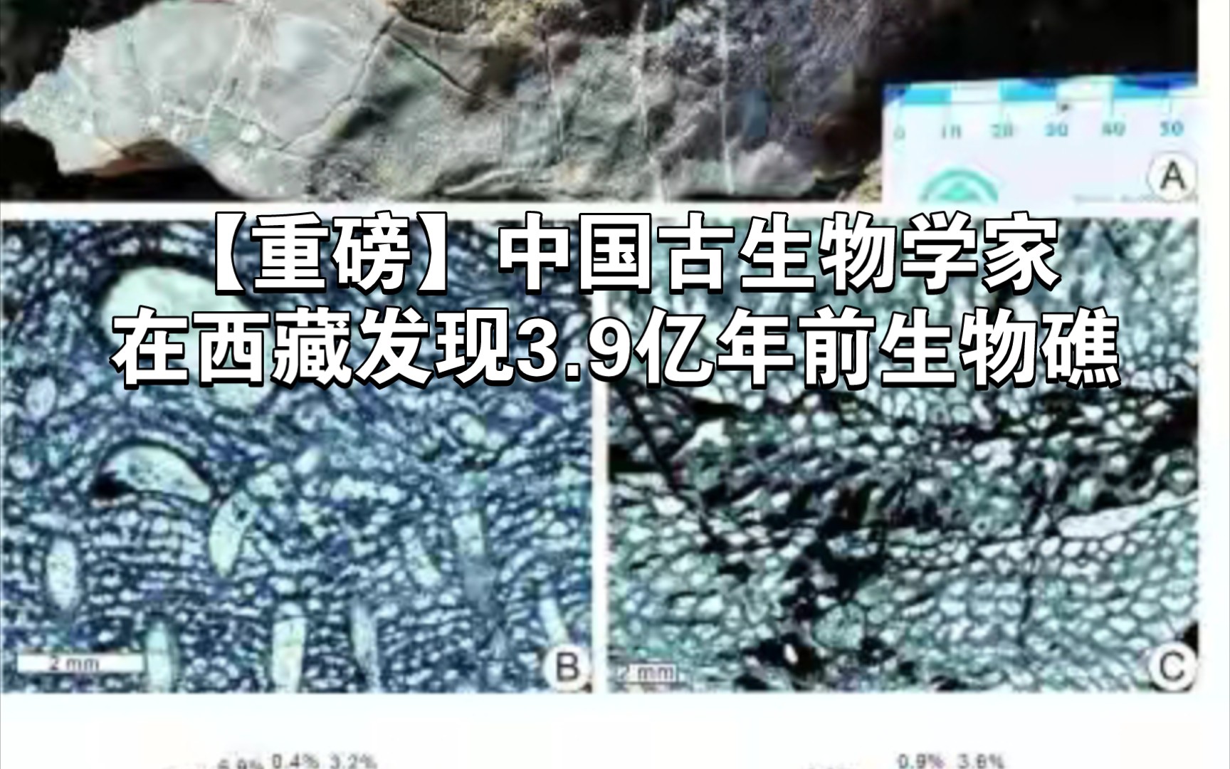 【重磅】中国古生物学家在西藏发现3.9亿年前生物礁哔哩哔哩bilibili