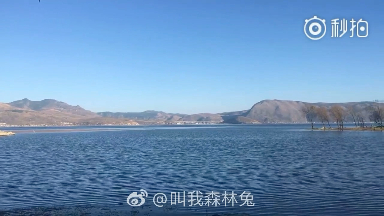 关于洱海的记忆哔哩哔哩bilibili