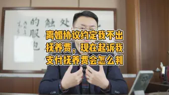 Download Video: 离婚协议约定我不出抚养费，现在起诉我支付抚养费会怎么判？