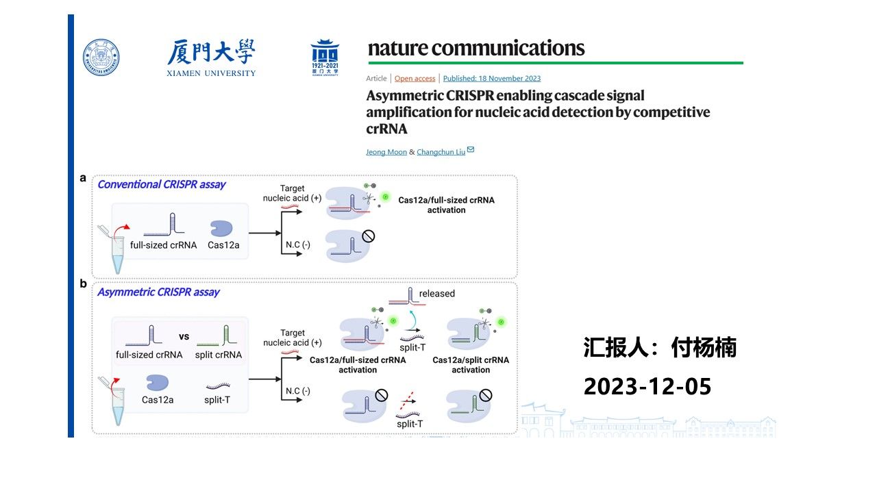 20231205文献汇报(付杨楠)哔哩哔哩bilibili