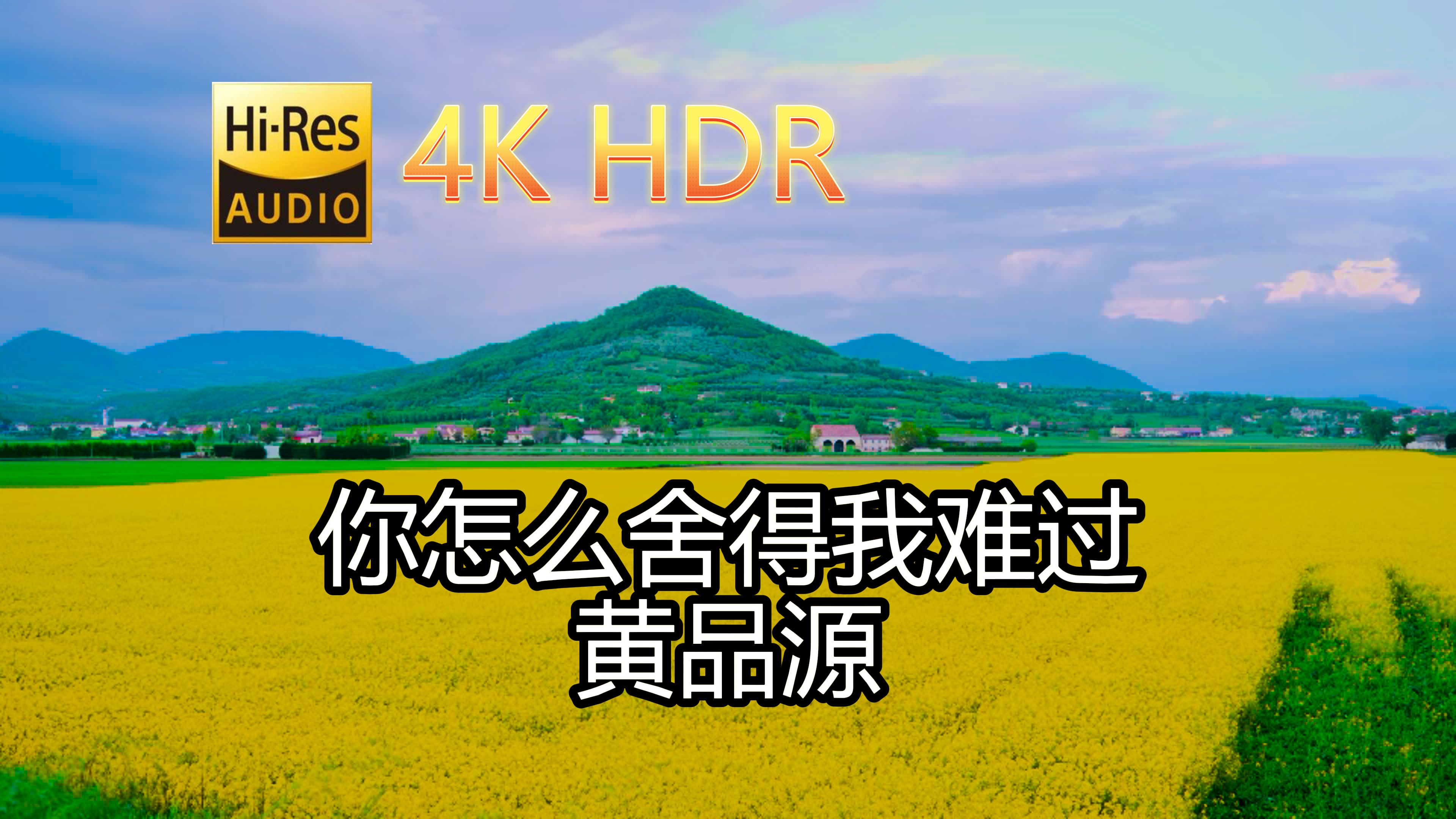 [图]黄品源-你怎么舍得我难过(无损音质自制混剪4KHDR60MV)[中文字幕]Hi-Res(FLAC24/48)