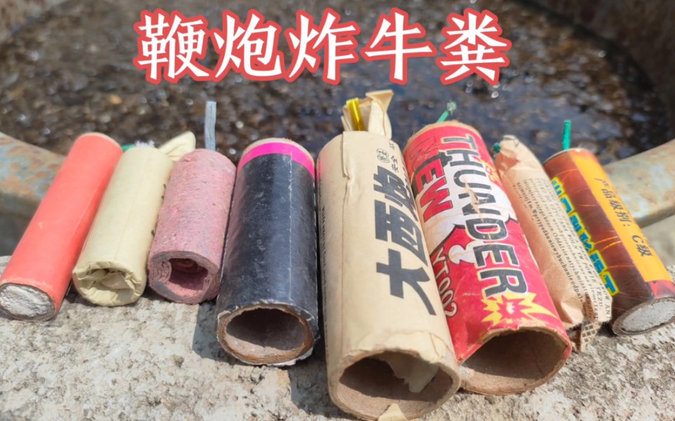 回忆经典童年鞭炮炸牛粪.