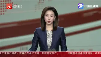 Download Video: 杭州着力引进海外高端人才  项目对接会召开