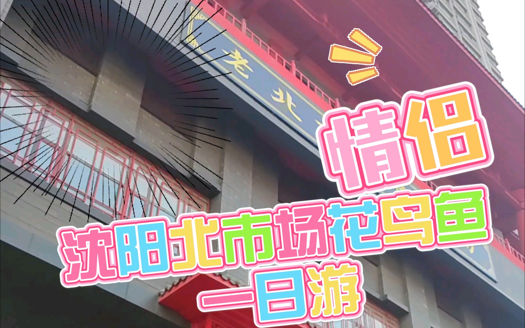 沈阳老北市花鸟鱼市场一日游