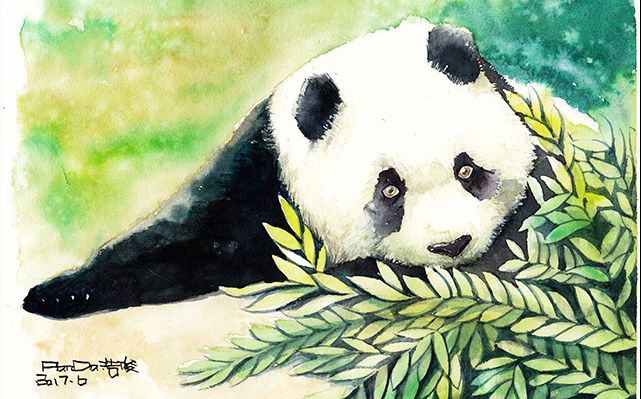 熊猫水彩【等待】熊猫布余_绘画_生活_bilibili_哔哩哔哩