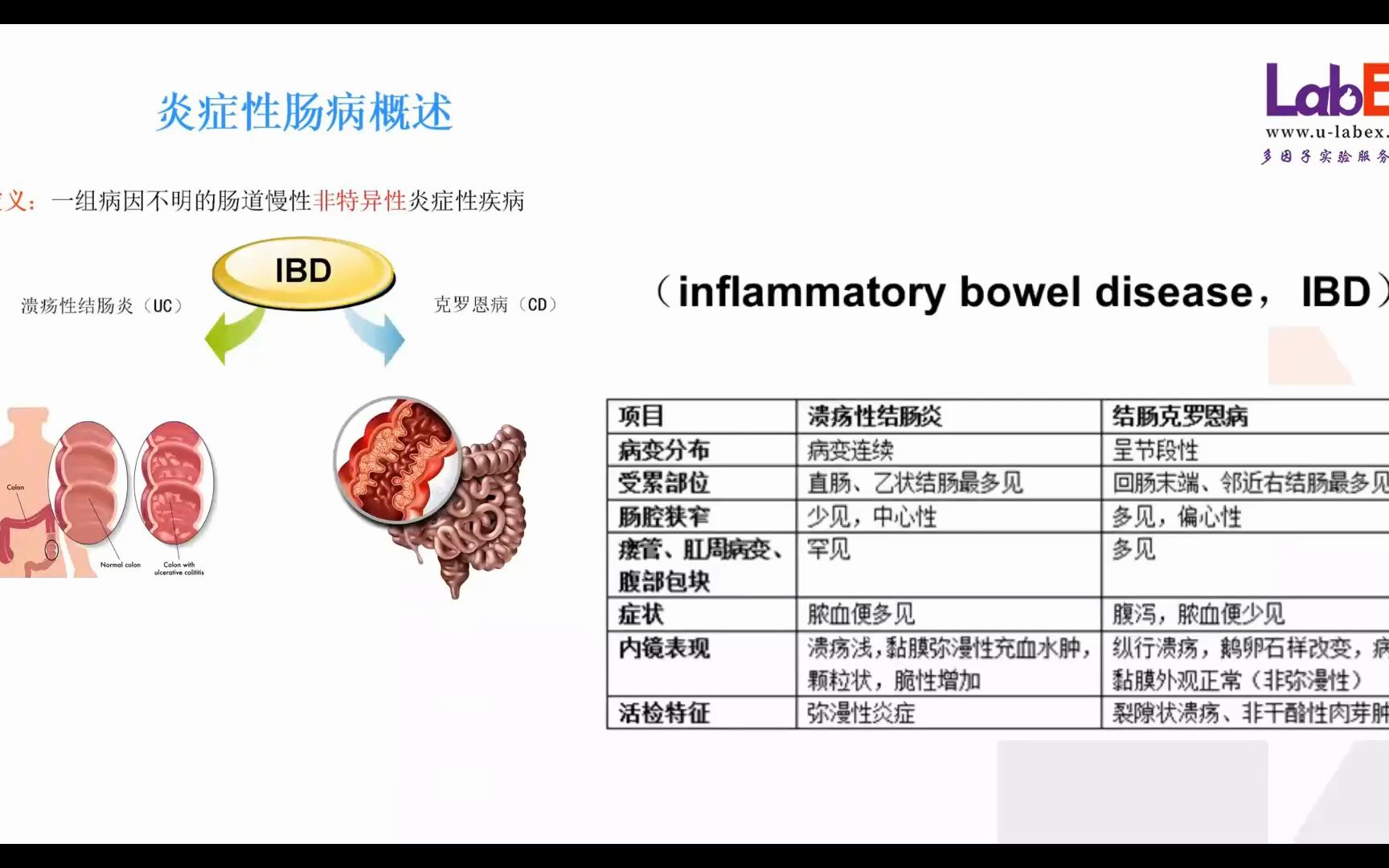 IBD肠炎疾病研究及其解决方案哔哩哔哩bilibili