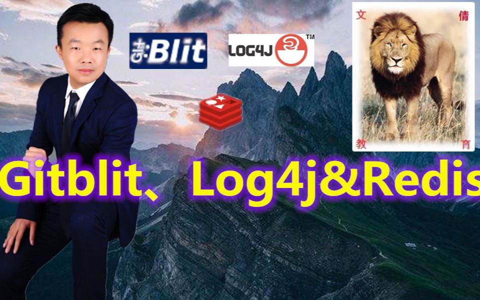 Gitblit、Log4j&Redis哔哩哔哩bilibili