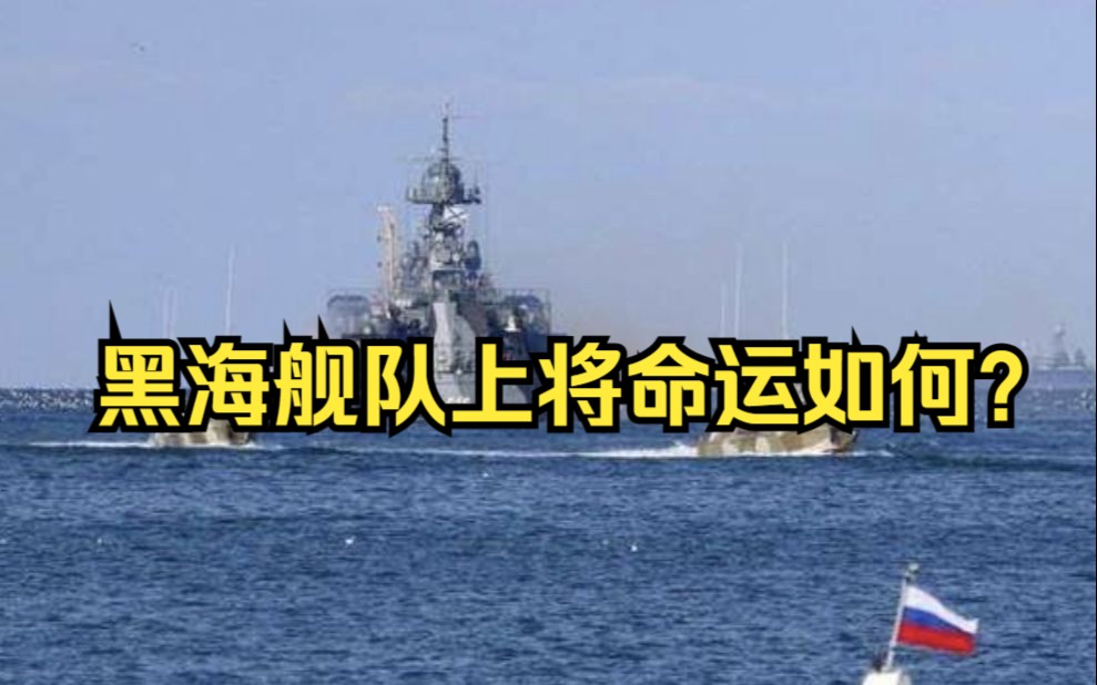 黑海舰队上将的命运之谜哔哩哔哩bilibili