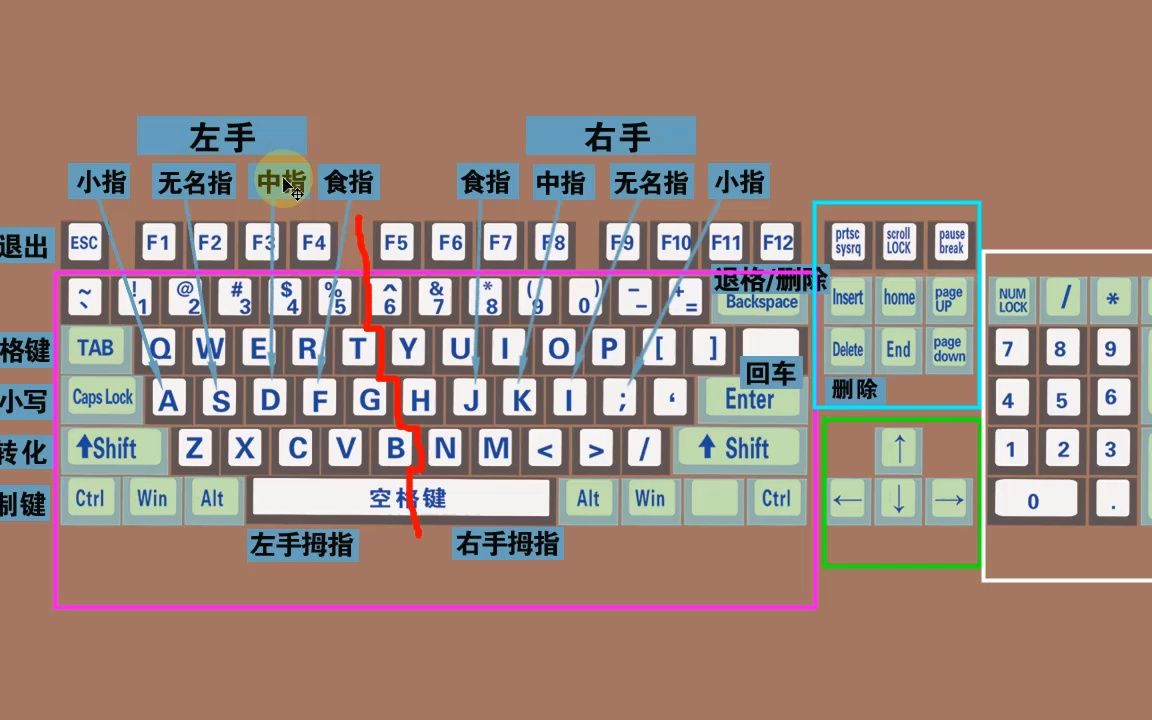 键盘打字正确指法图图片