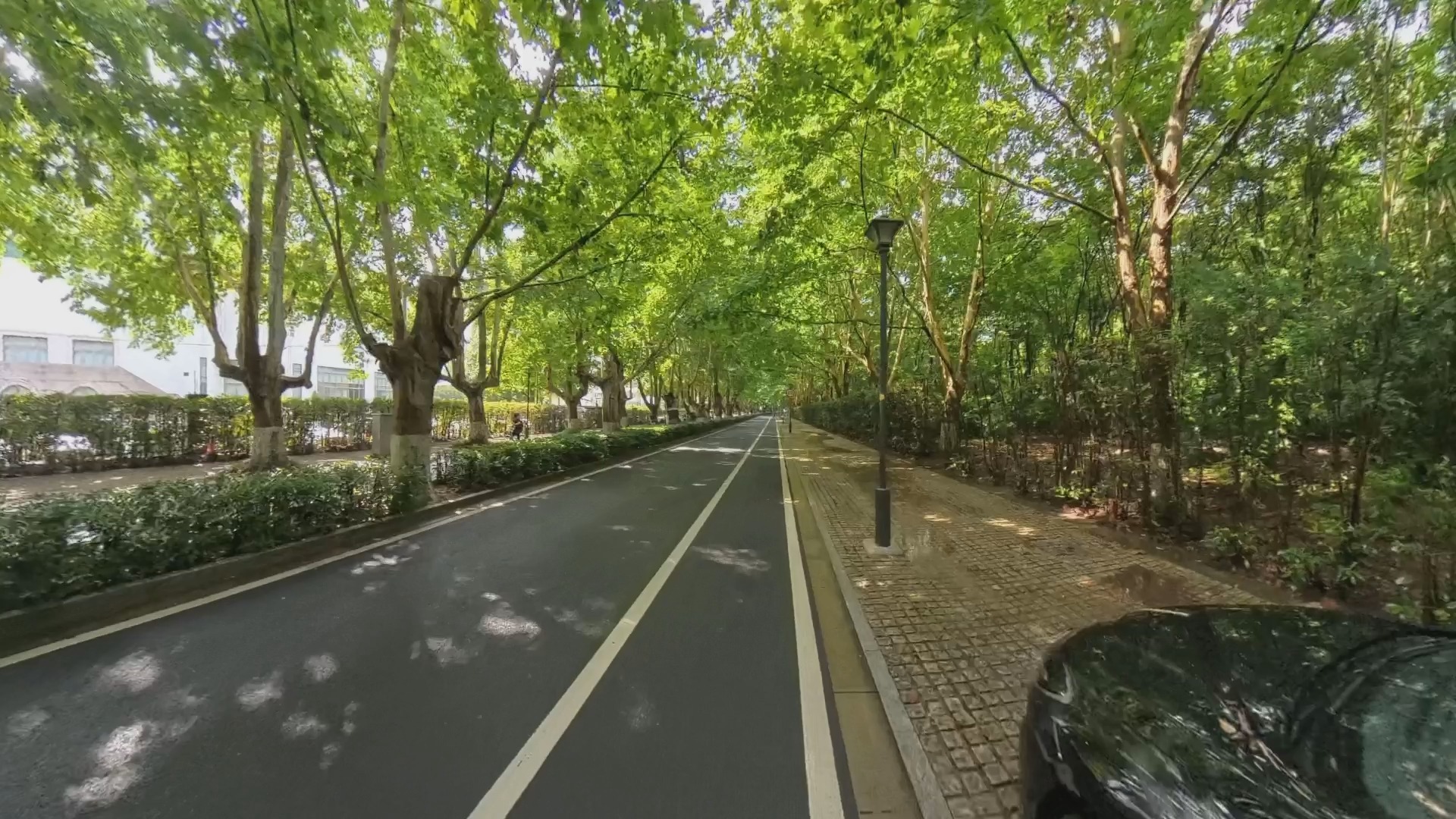 20240713灵谷寺路