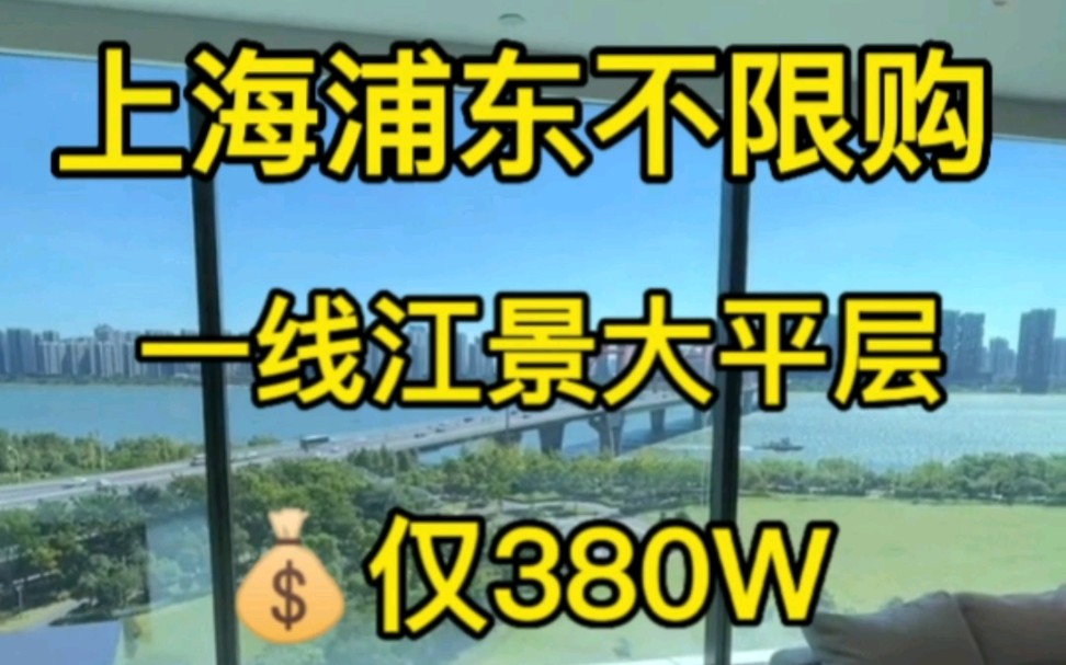 上海浦东不限购江景大平层‖无需社保 单身也可买‖售价380W起哔哩哔哩bilibili