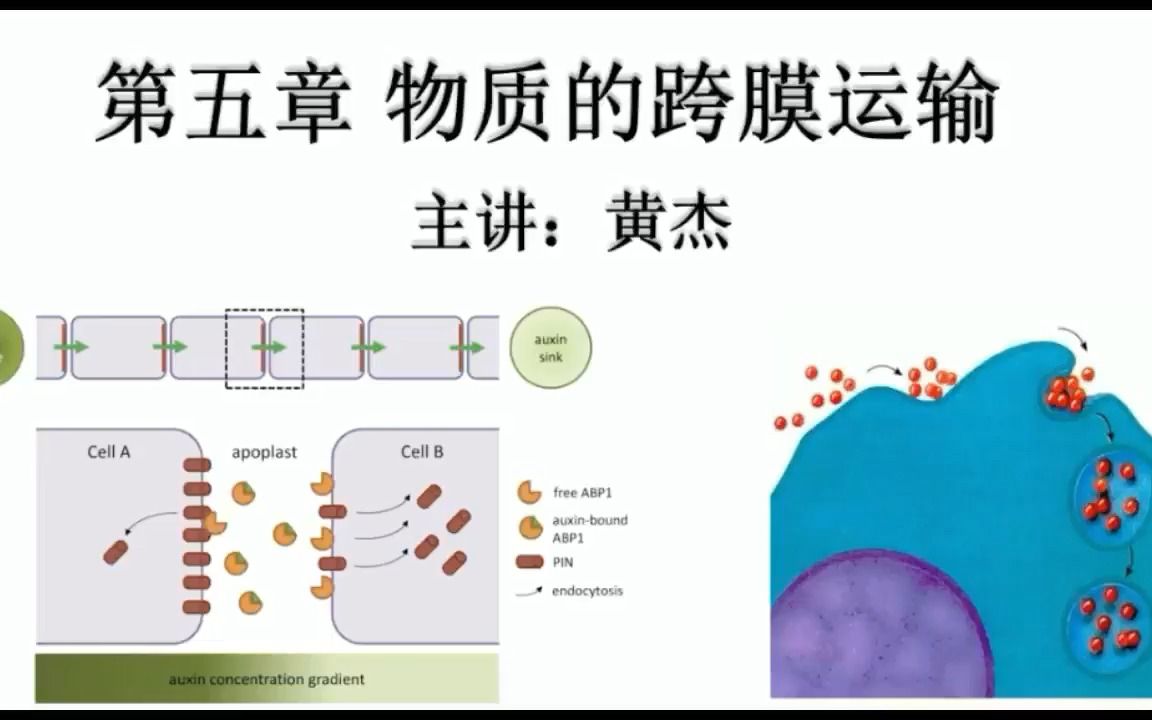 [图]4.4 胞吞作用和胞吐作用（生物竞赛）（翟中和版）