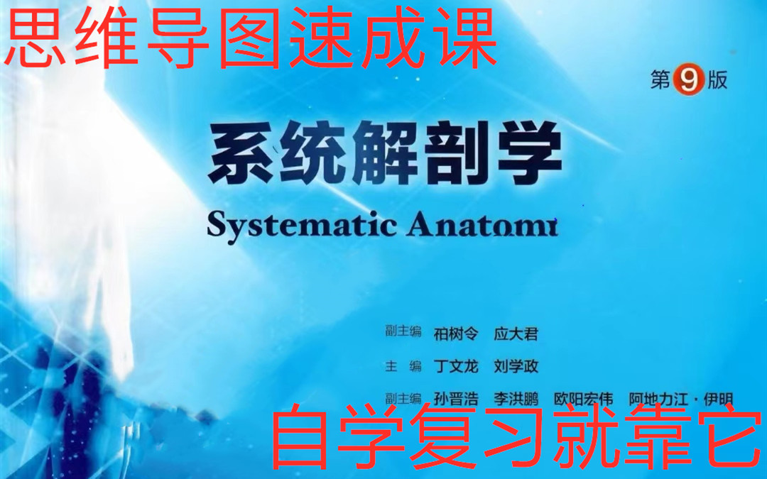 (更新完)3.5小时《系统解剖学》9版思维导图框架知识点梳理(速成课),预习复习自学视频课程哔哩哔哩bilibili