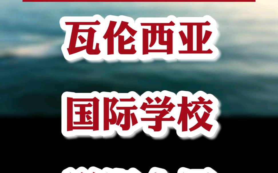 大鱼小鱼国际:西班牙移民攻略之子女教育!西班牙瓦伦西亚国际学校详细介绍!哔哩哔哩bilibili