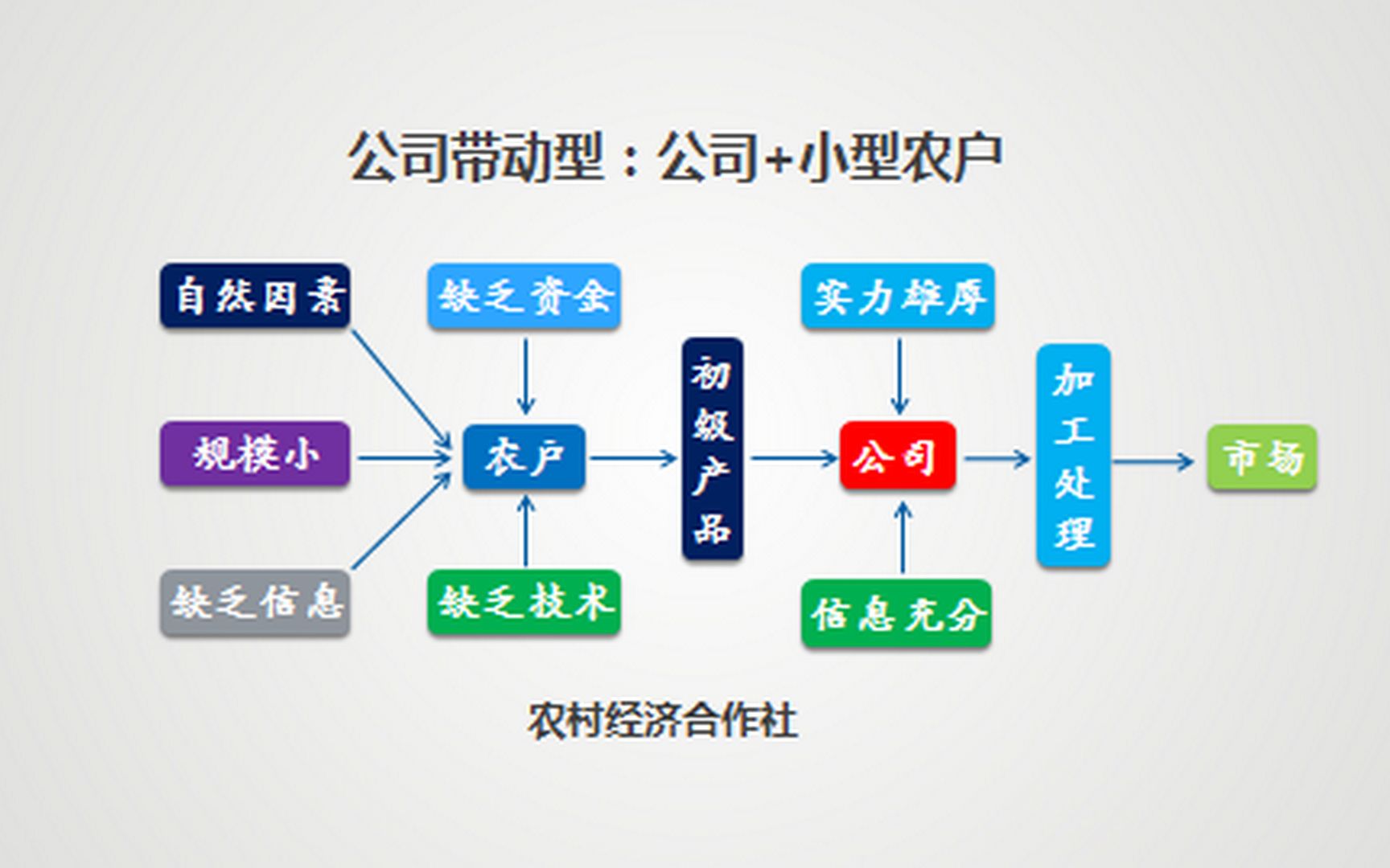 “公司+农户”合作社模式是怎么赚钱的?哔哩哔哩bilibili