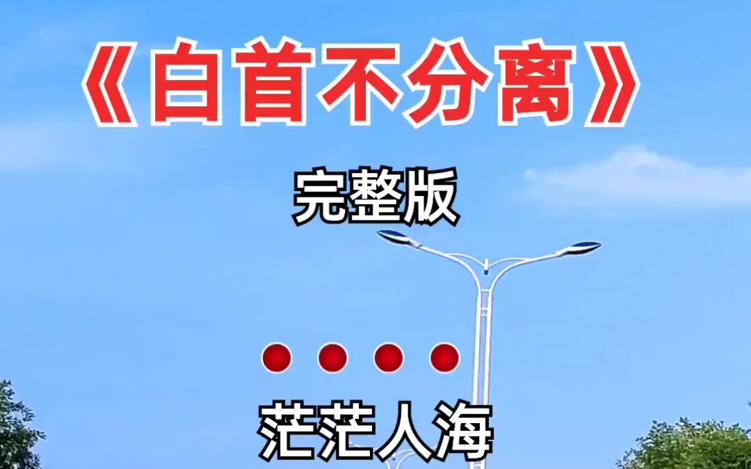 经典歌曲 白首不分离 百听不厌 音乐分享