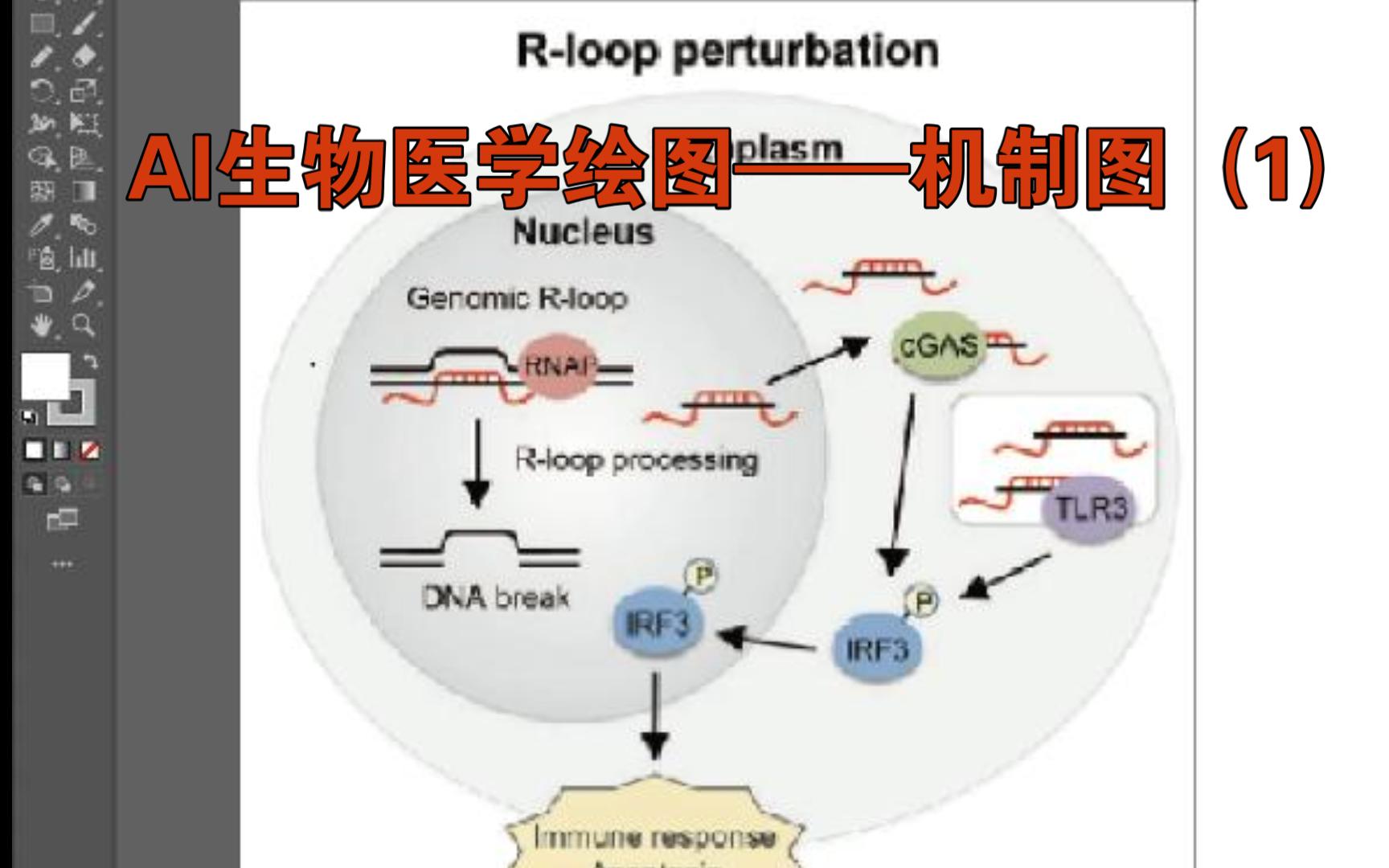 AI生物医学绘图——机制图(1)哔哩哔哩bilibili