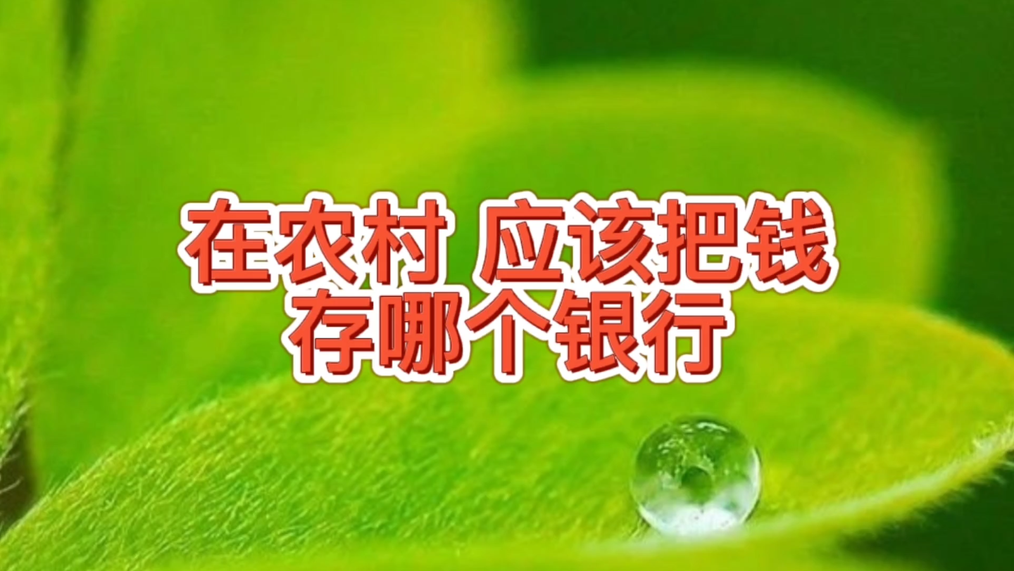 在农村,邮政,农行,农商信用社,村镇银行,应该把钱存哪里放心哔哩哔哩bilibili