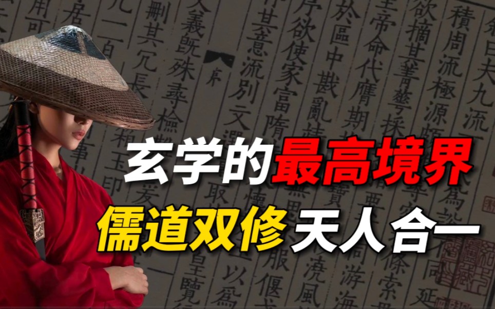 他是魏晋玄学家的巅峰,一生儒道双修,最终达到了天人合一的境界哔哩哔哩bilibili