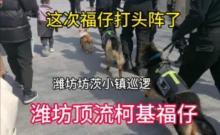 Download Video: 注意看福仔警官后面的德牧同事…不能走快又怕踩到福仔的为难…