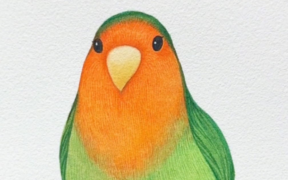 mori|彩虹小鸡|水彩手绘