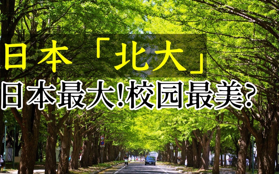 占地面积最大, 被誉为日本最美校园!来札幌一定要来逛一次北海道大学!遗憾的是没蹭到饭...哔哩哔哩bilibili