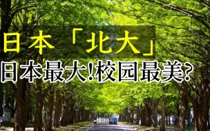 Download Video: 占地面积最大, 被誉为日本最美校园!来札幌一定要来逛一次北海道大学!遗憾的是没蹭到饭...