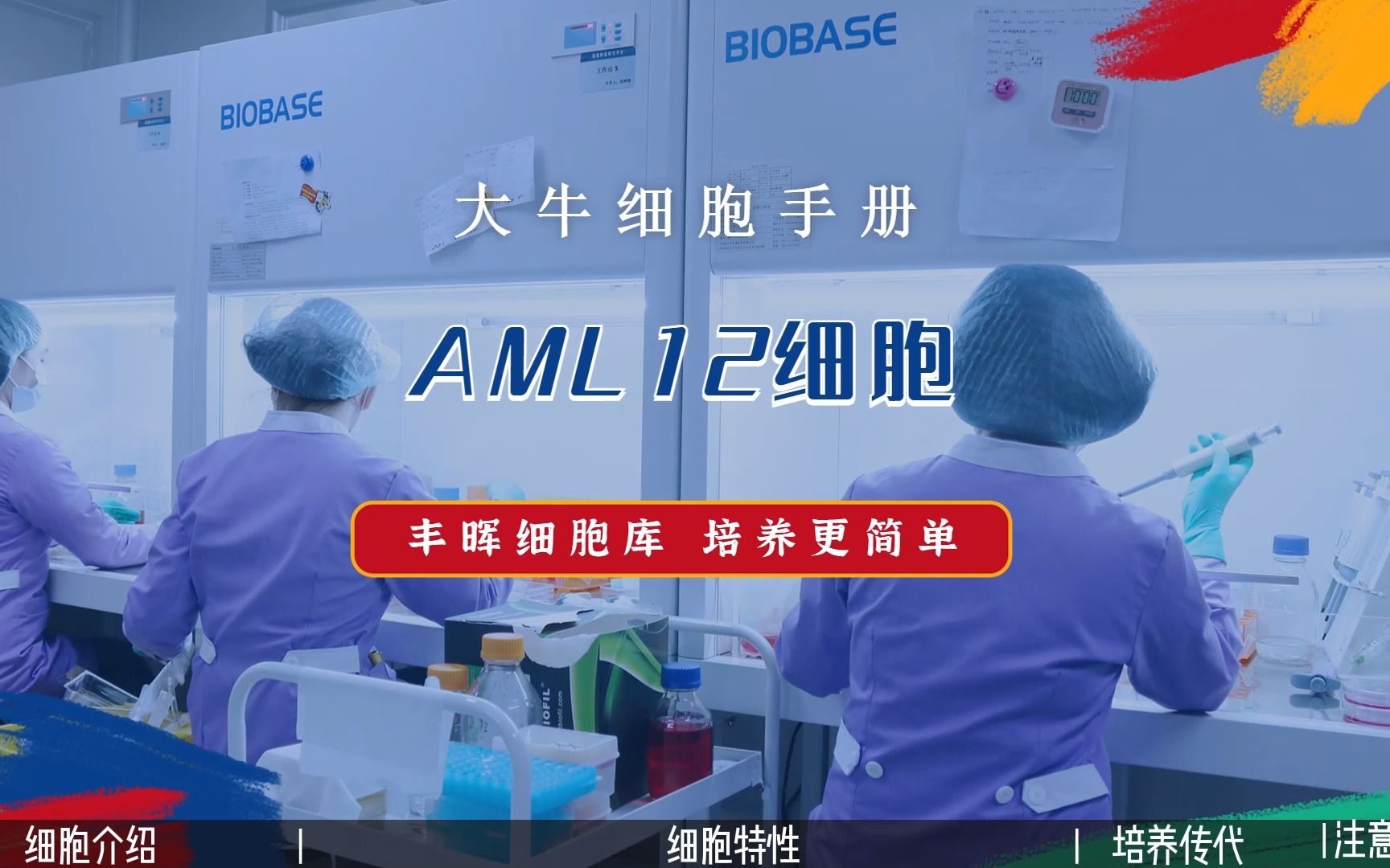 丰晖生物细胞库培养手册——AML12细胞培养,小鼠正常肝细胞培养攻略.哔哩哔哩bilibili