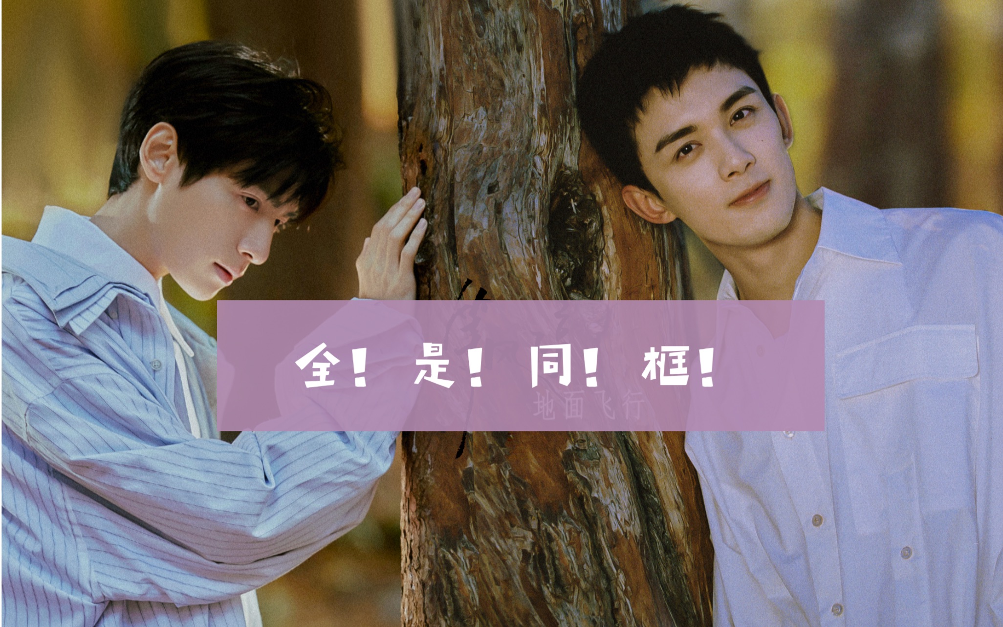 双leo78七夕贺礼78同框脑洞总结吴磊x罗云熙