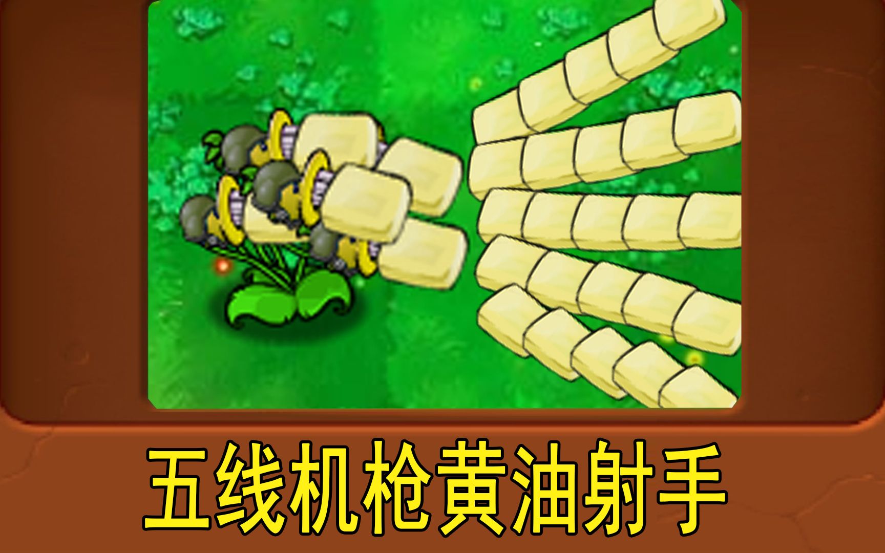 新植物:五线机枪黄油射手_植物大战僵尸1