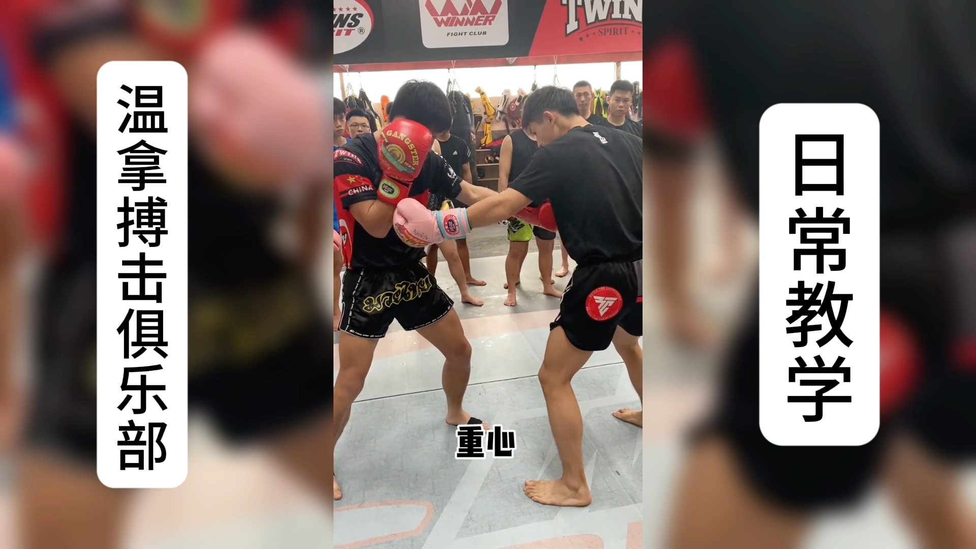 温拿搏击俱乐部自由搏击教学