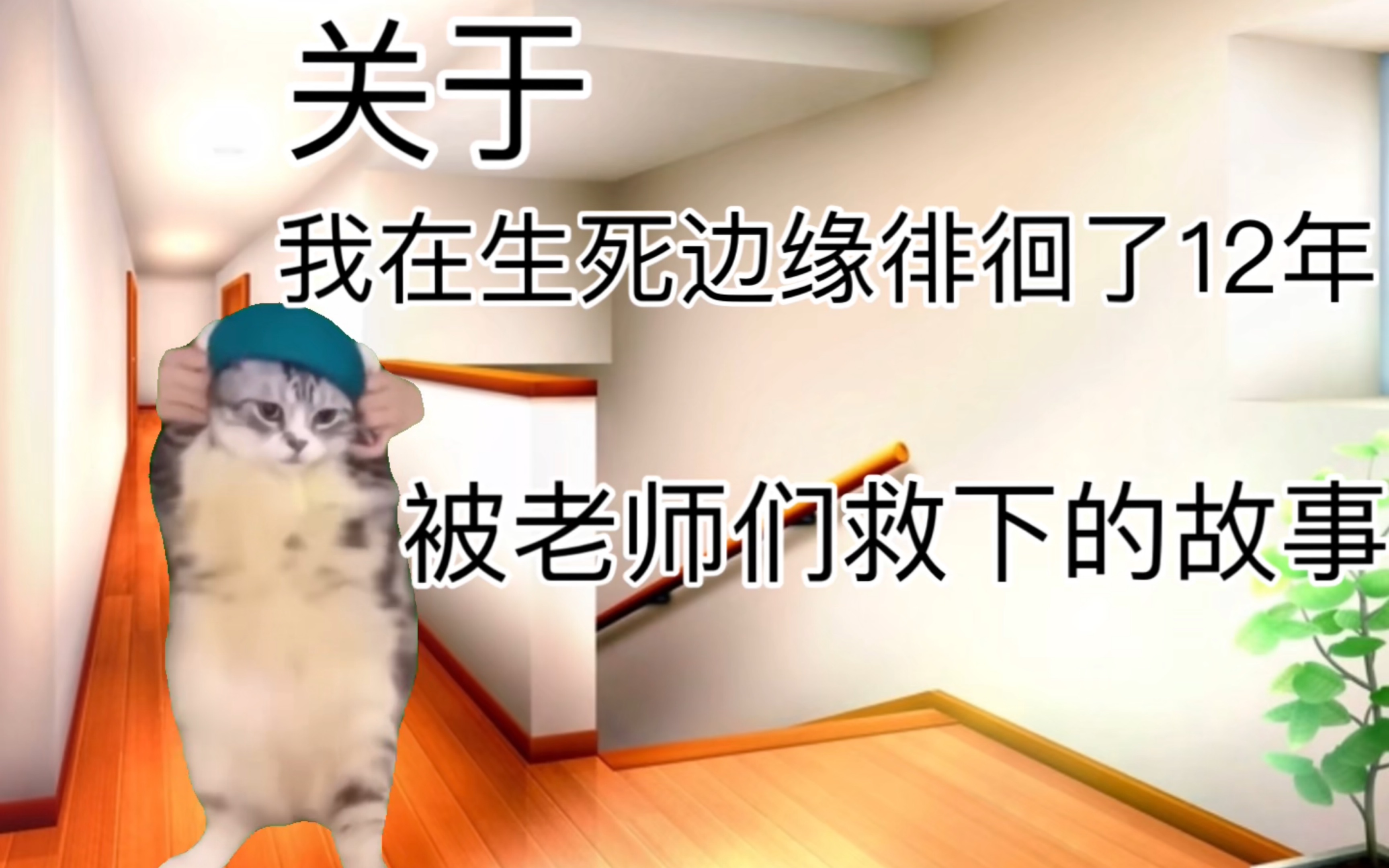 [图][猫meme]关于我的前十八年人生以及被老师们拯救的一年