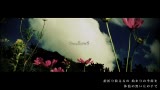 [图]【翻唱】SwallowS【米Youngティー】