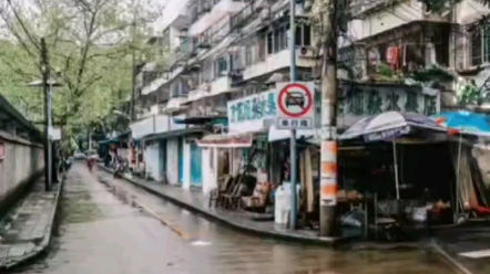 江苏有条街叫梧桐道,南师大附中刚刚好是AB班制,真的有三号路,有白马弄堂,有梧桐树,也有明理楼,真的有他们的痕迹,我好像看见他们的影子了....