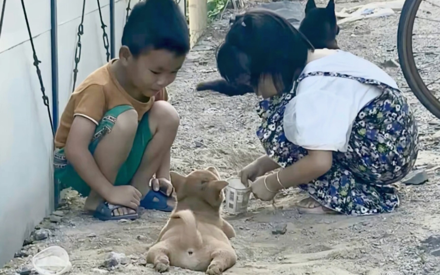 [图]这个世界不能没有小狗 小孩和小狗最纯粹的爱