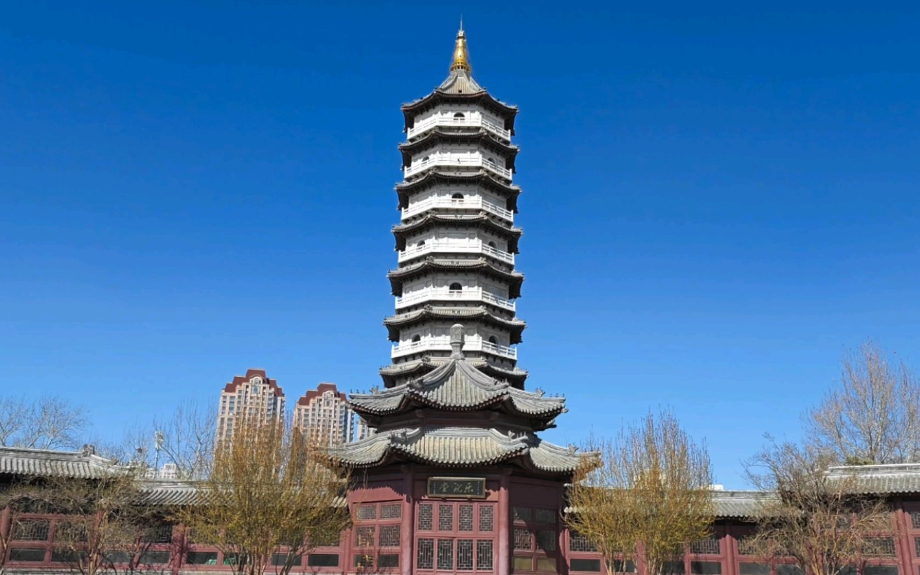 三月的天津北宁公园