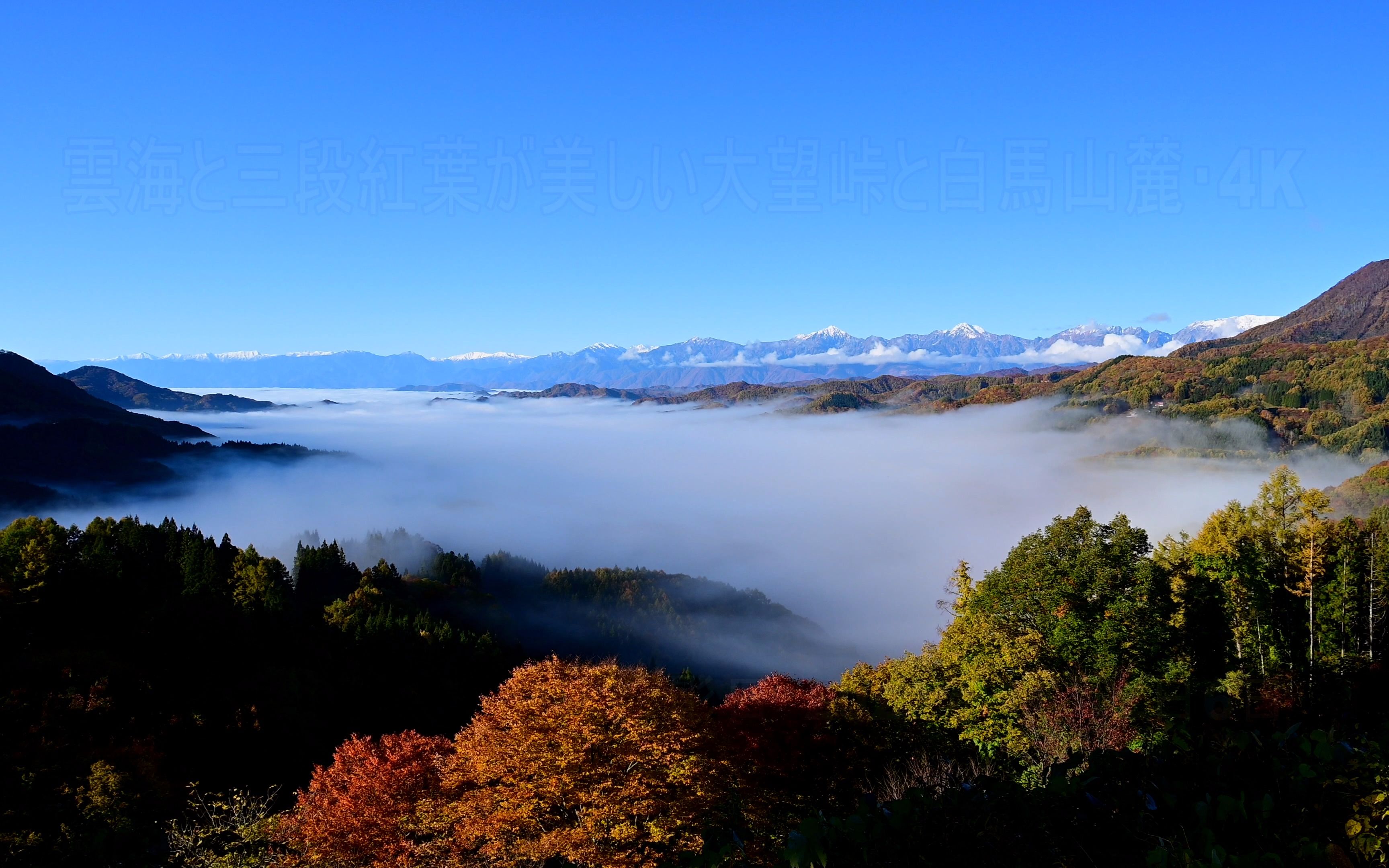 日本偶像东云海图片