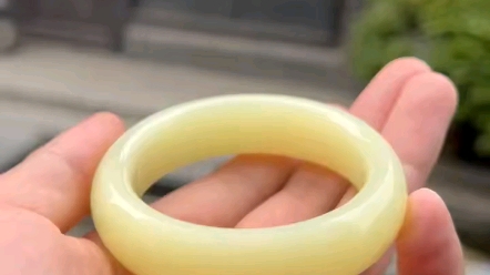 收藏款和田玉新疆若羌黄口料手镯56口径标本级鸡油黄质感温润油性爆表