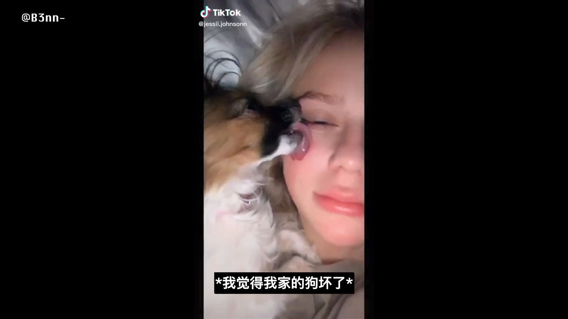 猛 男 必 看 系 列 /TikTok精选/外网抖音精选/萌宠/第14期哔哩哔哩bilibili