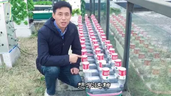 超级实用家庭水培潮汐式种植盆教程