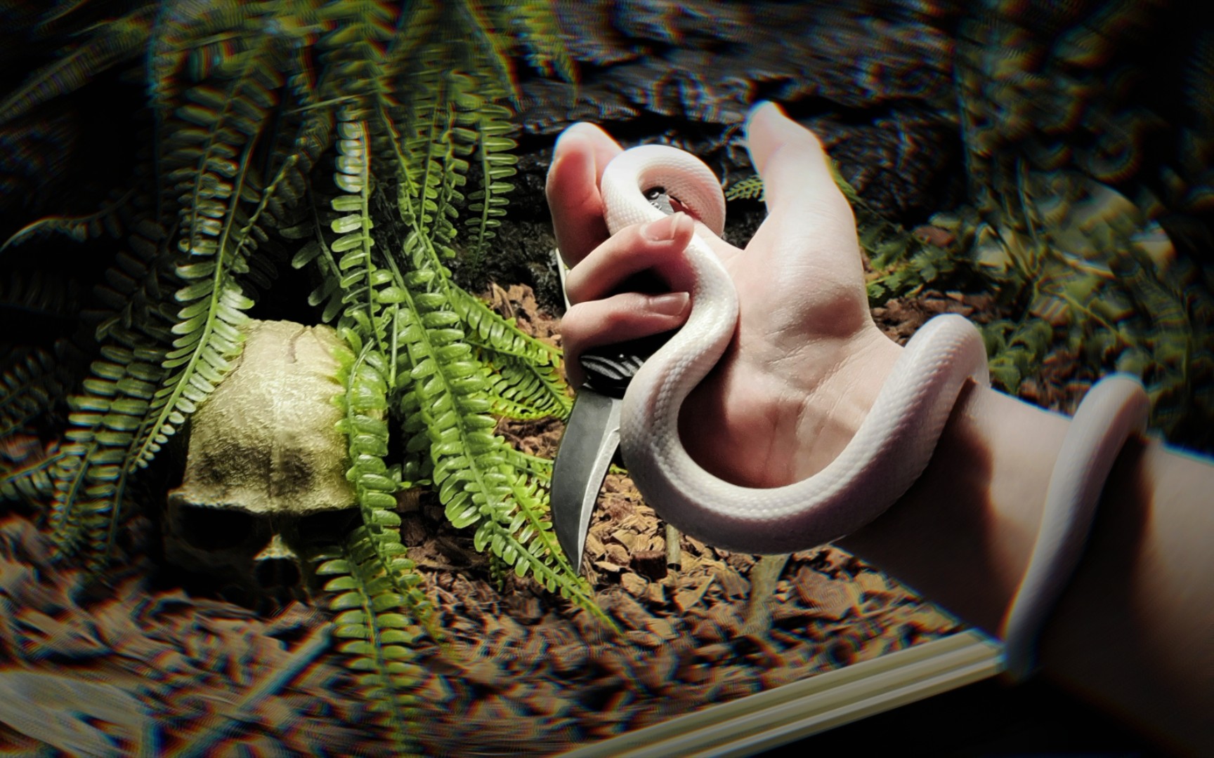 云白 美男蛇喝水_哔哩哔哩_bilibili