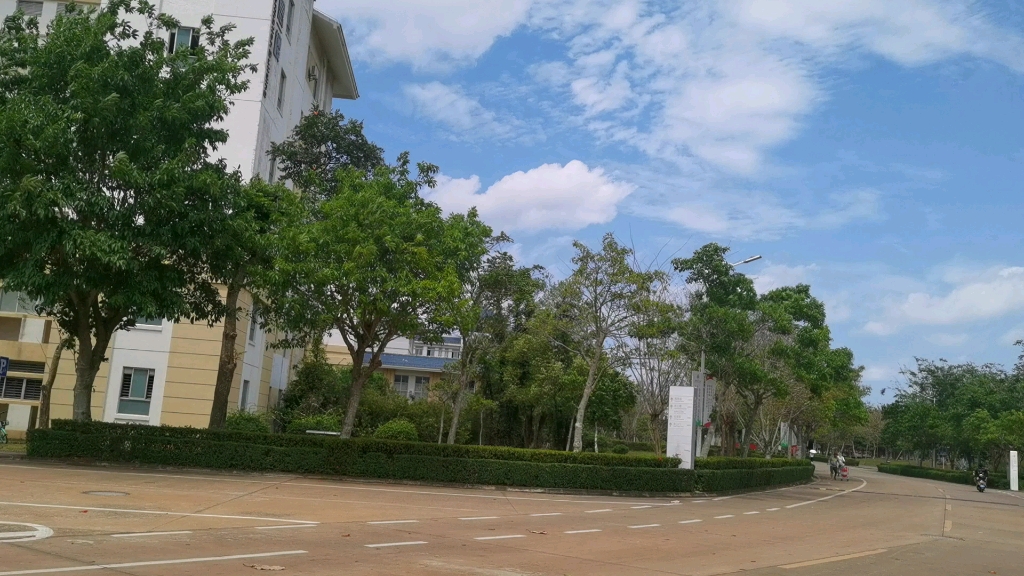 海南師範大學校園漫步—桂林洋校區信息樓附近春日海師