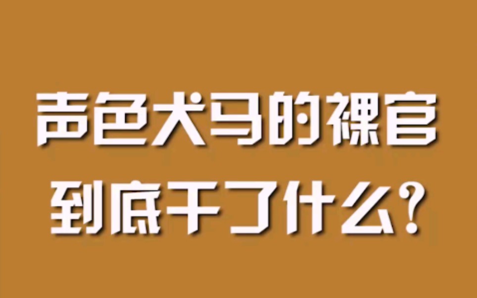 [图]声色犬马的裸官，到底干了什么？