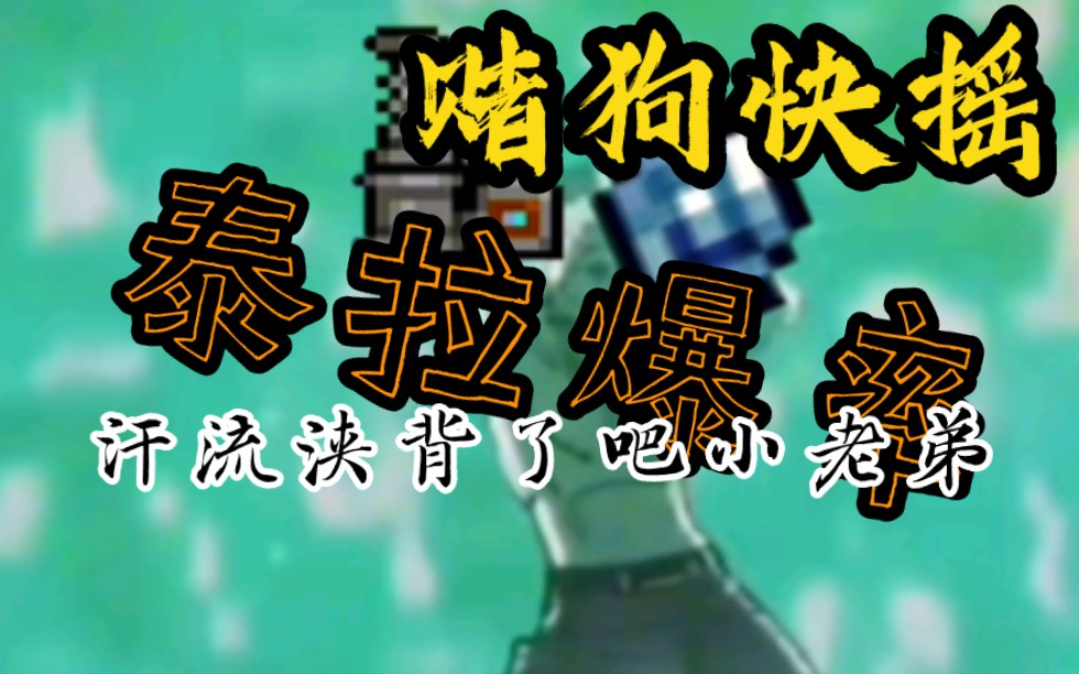 "赌狗快摇,泰拉启动!"