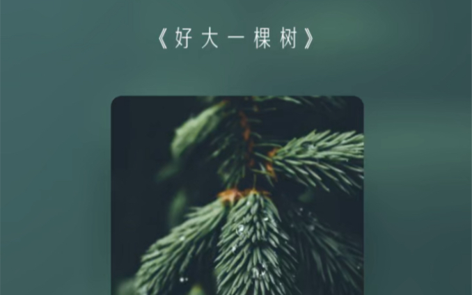 [图]水歌曲《好大一棵树》